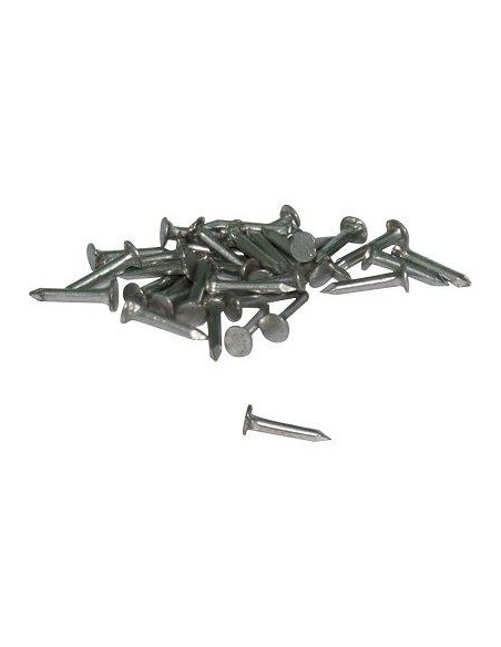 SEMENZA TESTA PIANA MM 10 CF - KG 1