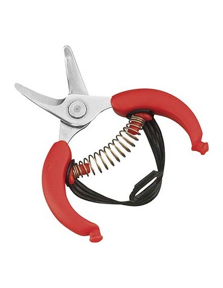 FORBICE RACCOLTA AGRUMI AUSONIA MM 105