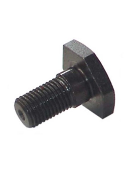 VITE INFERIORE TRONCARAMI TUCANO CASTELLARI T3