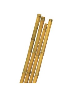 TUTORE CANNA BAMBOO MM MAX 24 H.CM 240 PEZZI 10