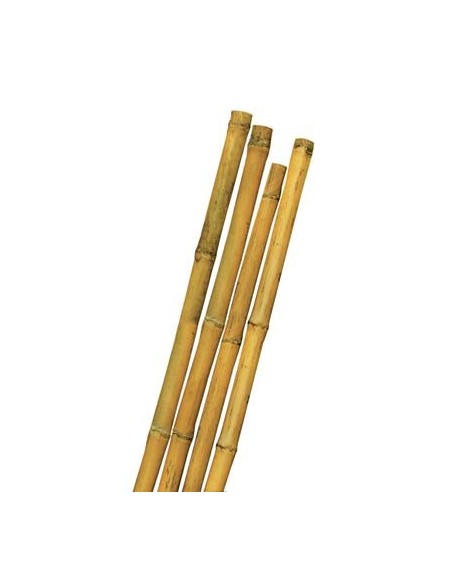 TUTORE CANNA BAMBOO MM MAX 28 H.CM 240 PEZZI 10