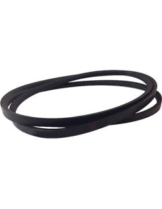 CINGHIA RASAERBA 53SH STARS BA001B00000