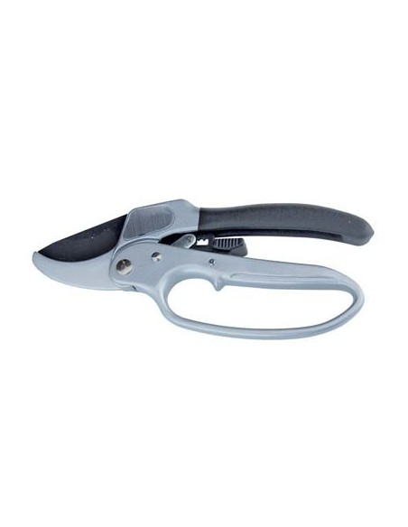 FORBICE POTA A BATTUTA + CRIC STARS CM 21