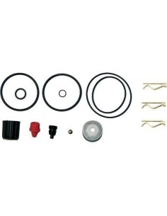 KIT RICAMBI POMPA ROSY 3507C GDM