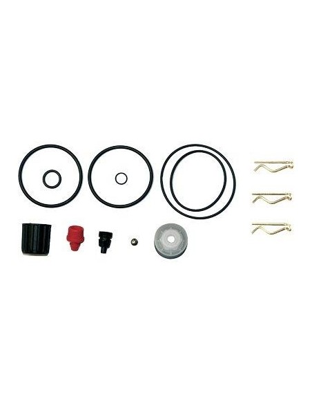 KIT RICAMBI POMPA ROSY 3507C GDM