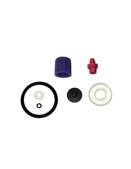 KIT RICAMBI POMPA MARY LADY GDM 4503C