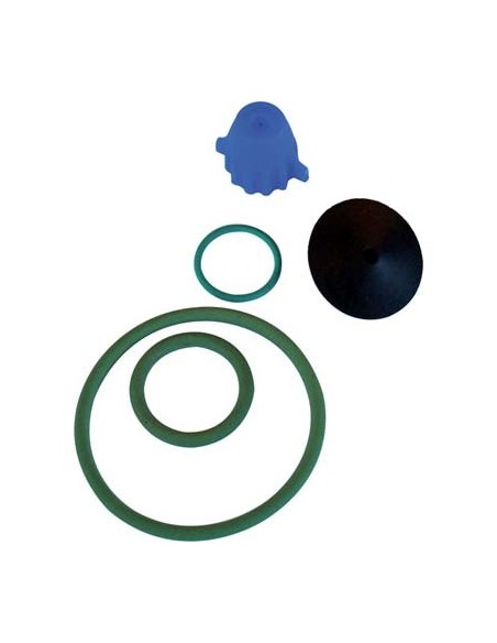 KIT RICAMBI POMPA EROS VITON DAL DEGAN