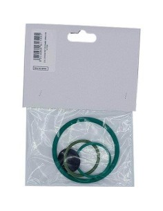 KIT RICAMBI POMPA ARES VITON DAL DEGAN N... 5B