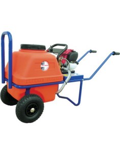 POMPA AP P768 4T + BOTTE VENTO DAL DEGAN LT 60 LT/MIN 8 BAR 25