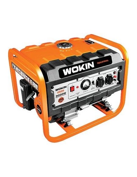 GENERATORE CORRENTE 791230 WOKIN 4T KW 3,0/2,8 MONOFASE