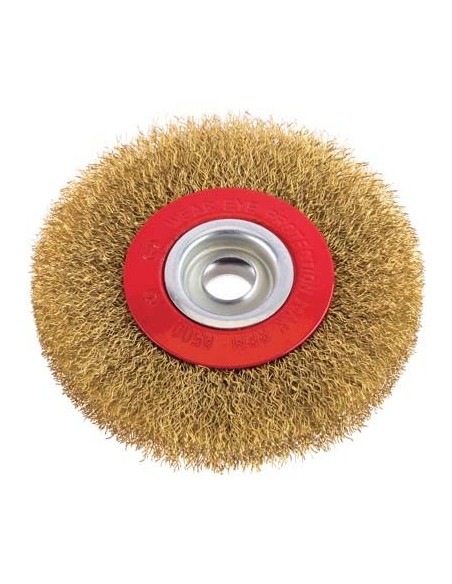 SPAZZOLA ACCIAIO CIRCOLARE + FORO PG 486.00 MM 100 F.MM 13