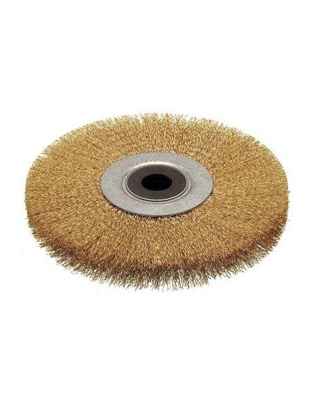 SPAZZOLA ACCIAIO CIRCOLARE + FORO CEBO MM 200X28 F.MM 20