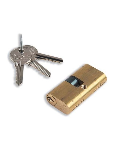 CILINDRO OVALE 09010 CORNI OTTONE CHIAVI 3 MM 54 27+27