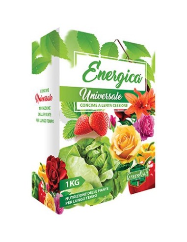 CONCIME GRANULARE LENTA CESSIONE UNIVERS ENERGICA KG 1