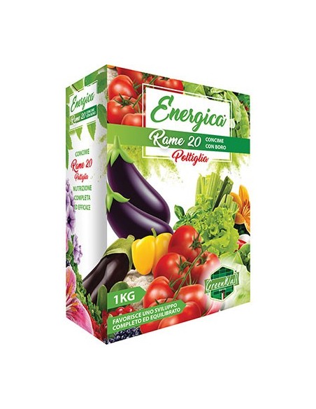 CONCIME POLVERE RAME 20 ENERGICA KG 1