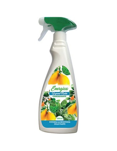 CORROBORANTE SAPONE MOLLE SPRAY ENERGICA ML 500