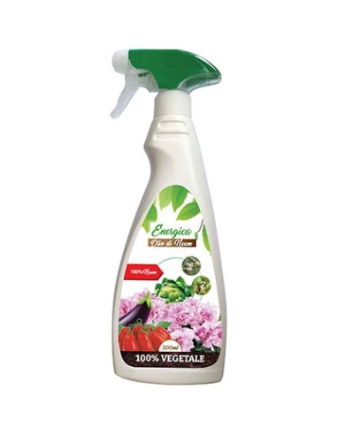 INSETTICIDA OLIO NEEM SPRAY ENERGICA GR 500