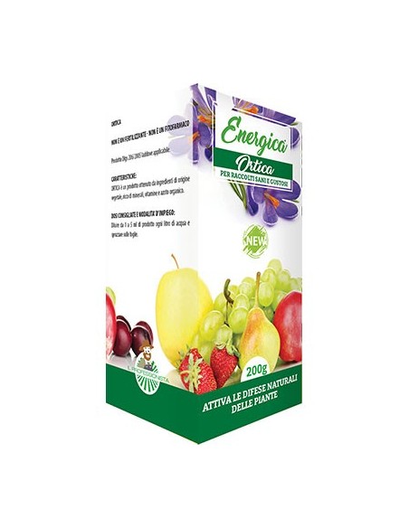 RINFORZANTE ORTICA ENERGICA GR 200