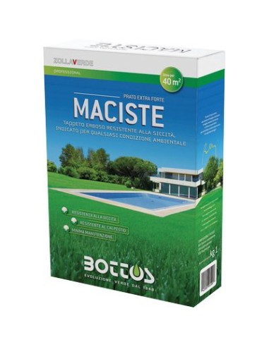 SEME PRATO MACISTE BOTTOS KG 1