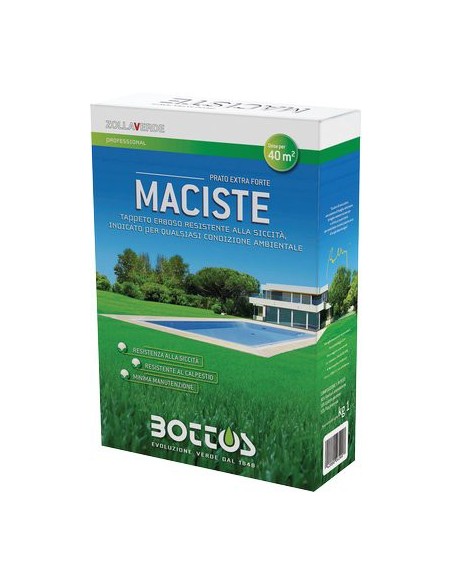 SEME PRATO MACISTE BOTTOS KG 1