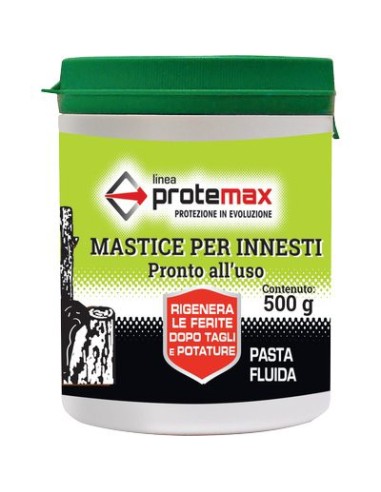 MASTICE X INNESTO PROTEMAX GR 500