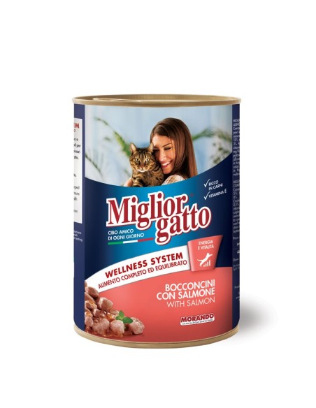 MIGLIOR GATTO BOCCONCINI CON SALMONE - 405 g