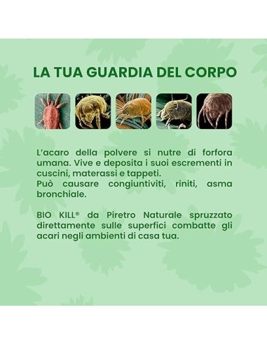 Biokill Insetticida Biologico di Piretro Naturale a Base Acquosa - Flacone Spray da 375ml Bio Kill