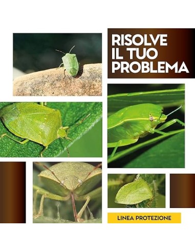 Albagarden CimiKill - Insetticida Cimici E Multinsetto - 500 ml