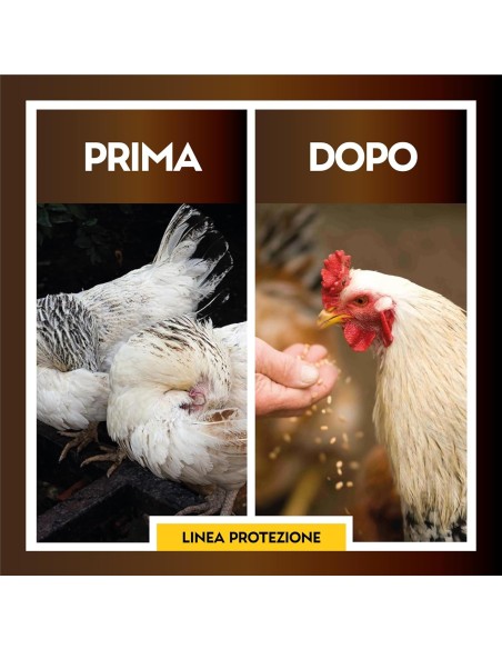 Albagarden PulPiZek - Insetticida per Disinfestazione Ambienti - 1 kg