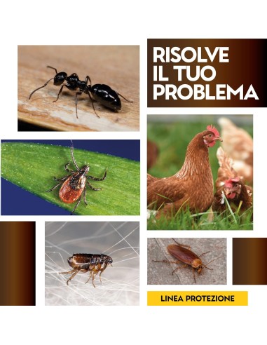 Albagarden PulPiZek - Insetticida per Disinfestazione Ambienti - 1 kg