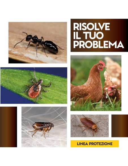 Albagarden PulPiZek - Insetticida per Disinfestazione Ambienti - 1 kg