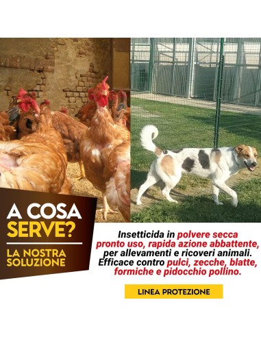 Albagarden PulPiZek - Insetticida per Disinfestazione Ambienti - 1 kg