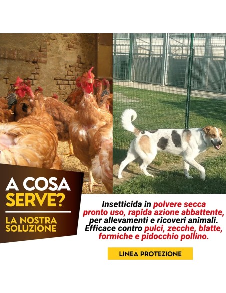 Albagarden PulPiZek - Insetticida per Disinfestazione Ambienti - 1 kg