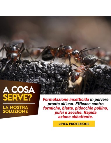 Albagarden Antiformica AlbaKill - A Base Di Cipermetrina - 750 Gr