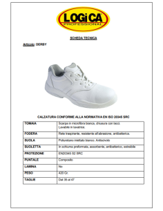 SCARPA BASSA S2 SRC LOGICA MOD. DERBY 2