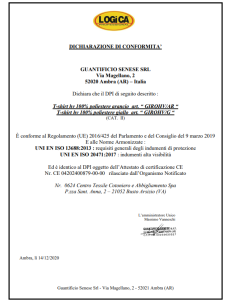 T-SHIRT MANICA CORTA POLIESTERE ALTA VISIBILITA LOGICA MOD. GIROHV 2