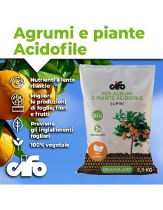 CIFO - Concime Agrumi a Base di Lupini Macinati 2