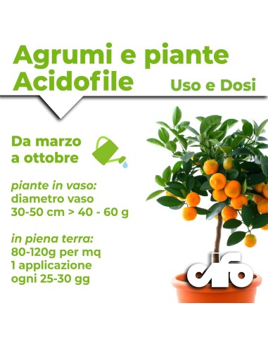 CIFO - Concime Agrumi a Base di Lupini Macinati