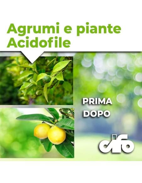 CIFO - Concime Agrumi a Base di Lupini Macinati