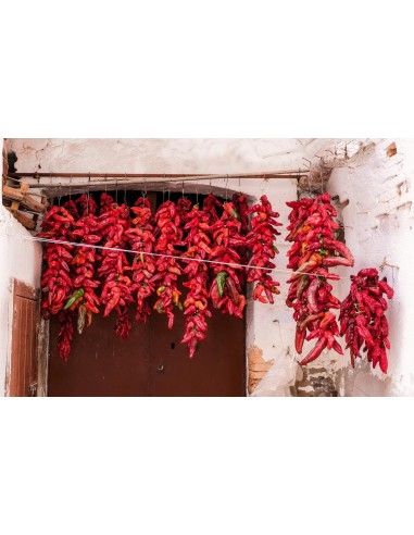 LISTELLO ESSICCAZIONE PEPERONI EXICCO PPL CM 57