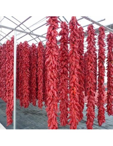 LISTELLO ESSICCAZIONE PEPERONI EXICCO PPL CM 57