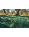 Telo Raccolta Olive Antispina Verde 85 g/m²