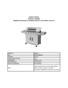 BARBECUE GAS SALSA 5+1 DOMUS 2