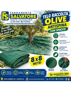 Telo Raccolta Olive 8x8 Antispina con Spacco | 85 g/m²