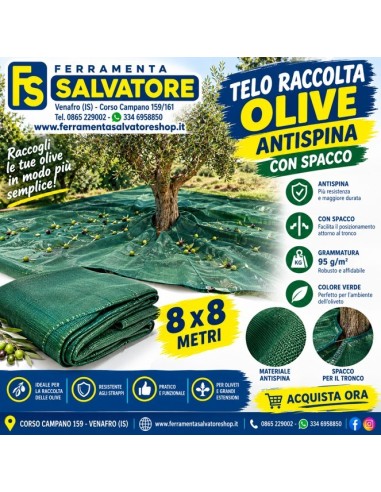 Telo Raccolta Olive 8x8 Antispina con Spacco | 85 g/m²
