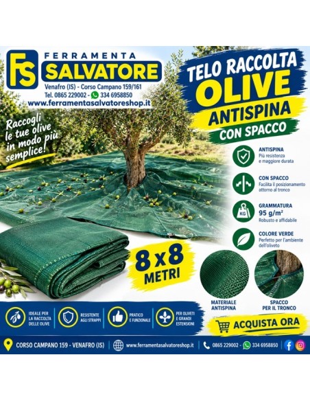 Telo Raccolta Olive 8x8 Antispina con Spacco | 85 g/m²
