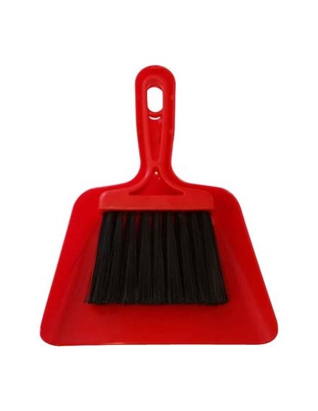 PALETTA E SCOPETTA PULIZIA AUTO PLASTICA/FIBRA SINTETICA