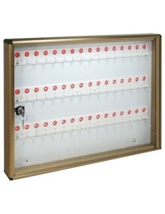 BACHECA PORTA CHIAVI ALUBOX ALLUMINIO BRONZATO CHIAVI 48 MM 550X50 H.MM 400