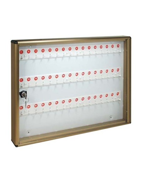 BACHECA PORTA CHIAVI ALUBOX ALLUMINIO BRONZATO CHIAVI 48 MM 550X50 H.MM 400