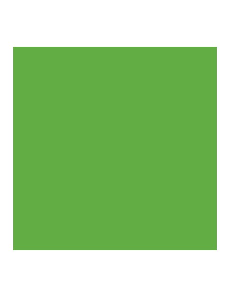 PLASTICA ADESIVA VERDE PISELLO LUCIDO 1995 ALKOR H.CM 45 L.MT 15